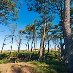 Chardons Bleus - 6p Feriehus