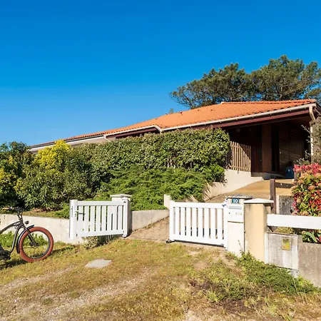 Chardons Bleus - 6p Capbreton