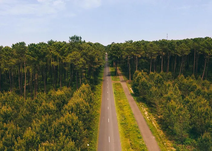 Chardons Bleus - 6p Feriehus *