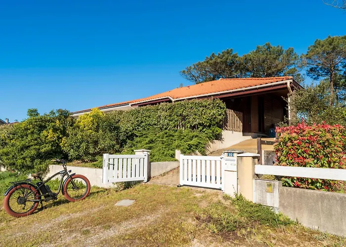 Chardons Bleus - 6p Capbreton