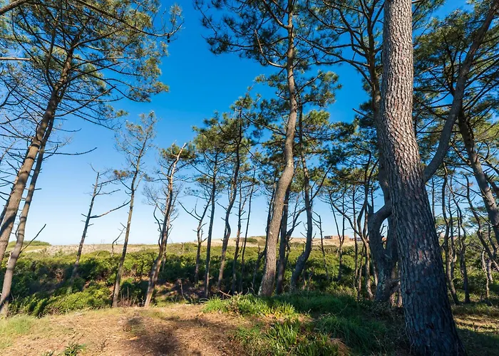 Chardons Bleus - 6p Feriehus